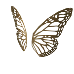 Golden Butterfly Wings - Mariah Carey