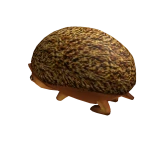 Hedgehog Friend