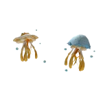 Jeggyfish Friends