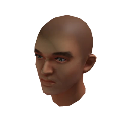 Lando Norris - Head