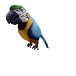 Macaw Shoulder Friend