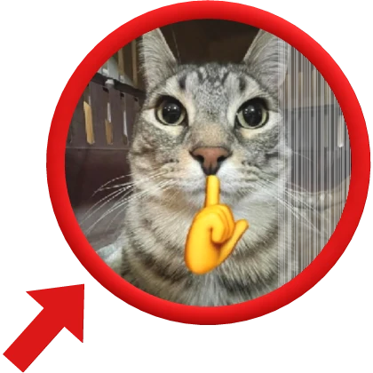 Mewing Cat Meme with double face changing effect