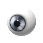 Platinum Eye