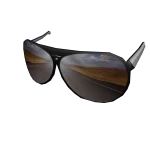 Roadtrippin' Shades