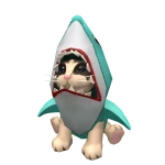 Shoulder Shark Cat