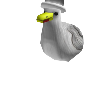 Sophisticated Seagull
