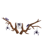 Spider Antlers