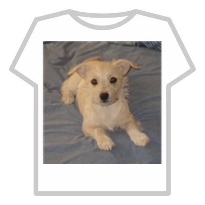 Spyders dog.jpg
