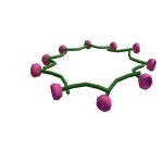 The Crown of Roses