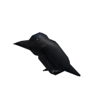 The Raven