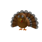 Turkey Shoulderfriend