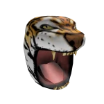 When Animals Attack: Tiger Tussle