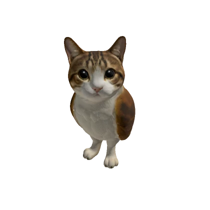 Marian_Dev