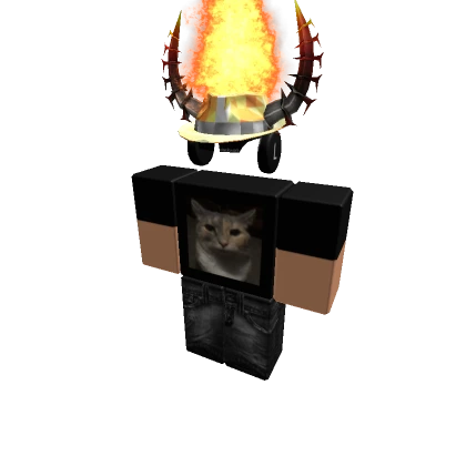 metaeq