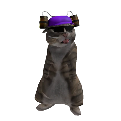 Player 16983447