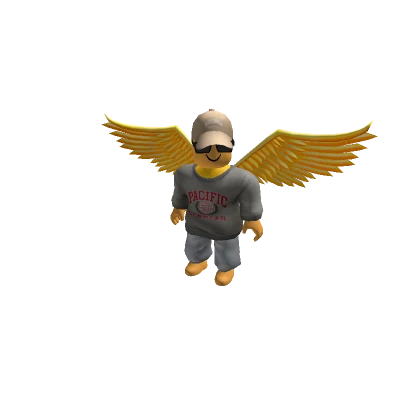 Player 2493982397