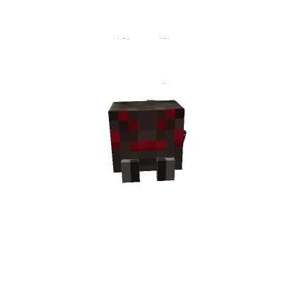 Player 27107161