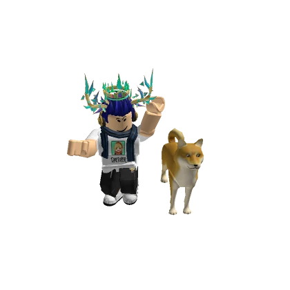 Player 371367028
