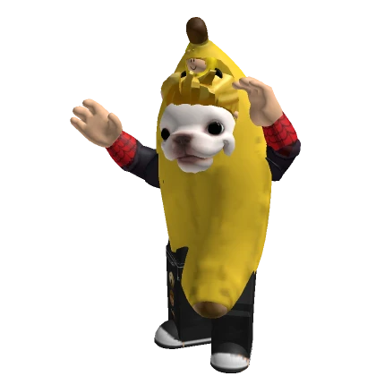 Player 4090241516