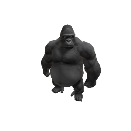 Player 5068447882