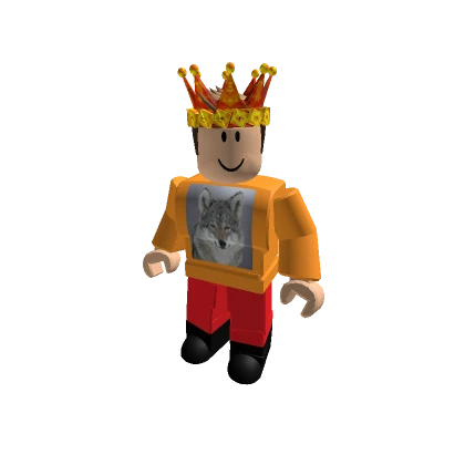 Player 896393113