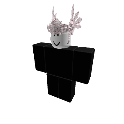Player 9783437308